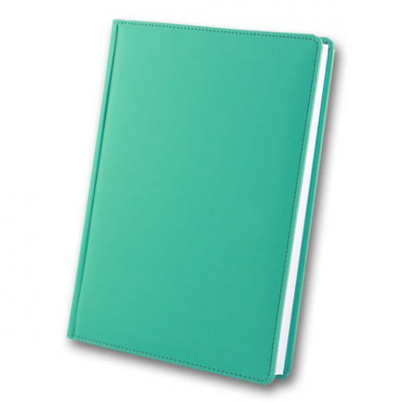 Щоденник А-5 168аркушів Winner м'ятній *Brisk Office