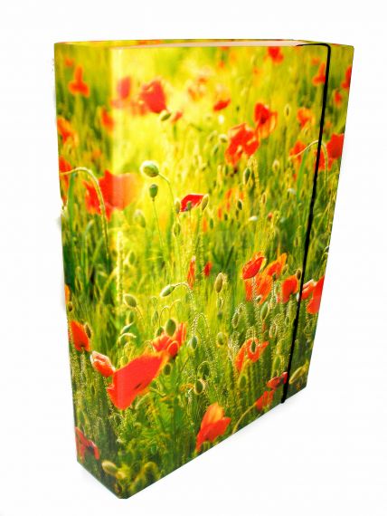 Папка-коробка на резинке ITEM А-4 60мм Маки