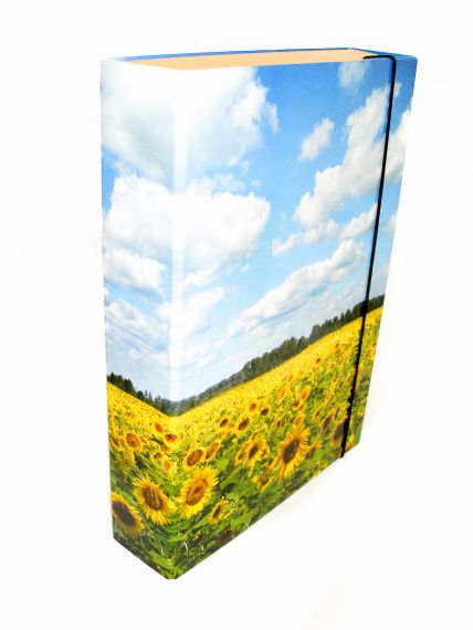 Папка-коробка на резинке ITEM А-4 60мм Подсолнухи Папка-коробка на резинке ITEM А-4 60мм Подсолнухи