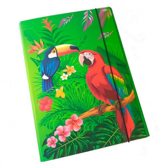 Папка-коробка на резинке ITEM А-4 60мм Райские птицы