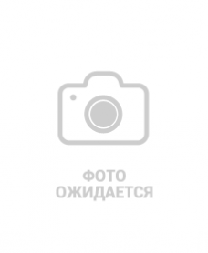 Штамп Исходящий номер с датой (продается с оснасткой Trodat 4911) Штамп Исходящий номер с датой (продается с оснасткой Trodat 4911)