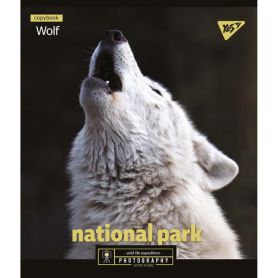 Тетрадь 24лис Yes офс/лин. выборочный гибридный лак Wild portrait