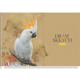 Альбом для рисования 30л 120г спираль Школярик Альбом для рисования 30л 120г спираль Школярик