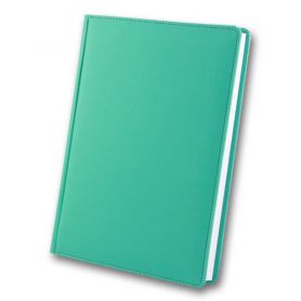 Щоденник А-5 168аркушів Winner м'ятній *Brisk Office Щоденник А-5 168аркушів Winner м'ятній *Brisk Office