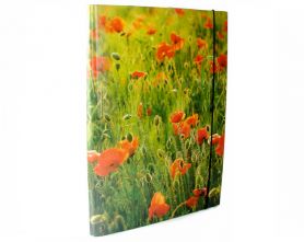 Папка на резинке ITEM ламинированная А-4 25мм Маки Папка на резинке ITEM ламинированная А-4 25мм Маки