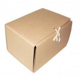 Папка на завязках ITEM крафт А-4 200мм Крафт Папка на завязках ITEM крафт А-4 200мм Крафт